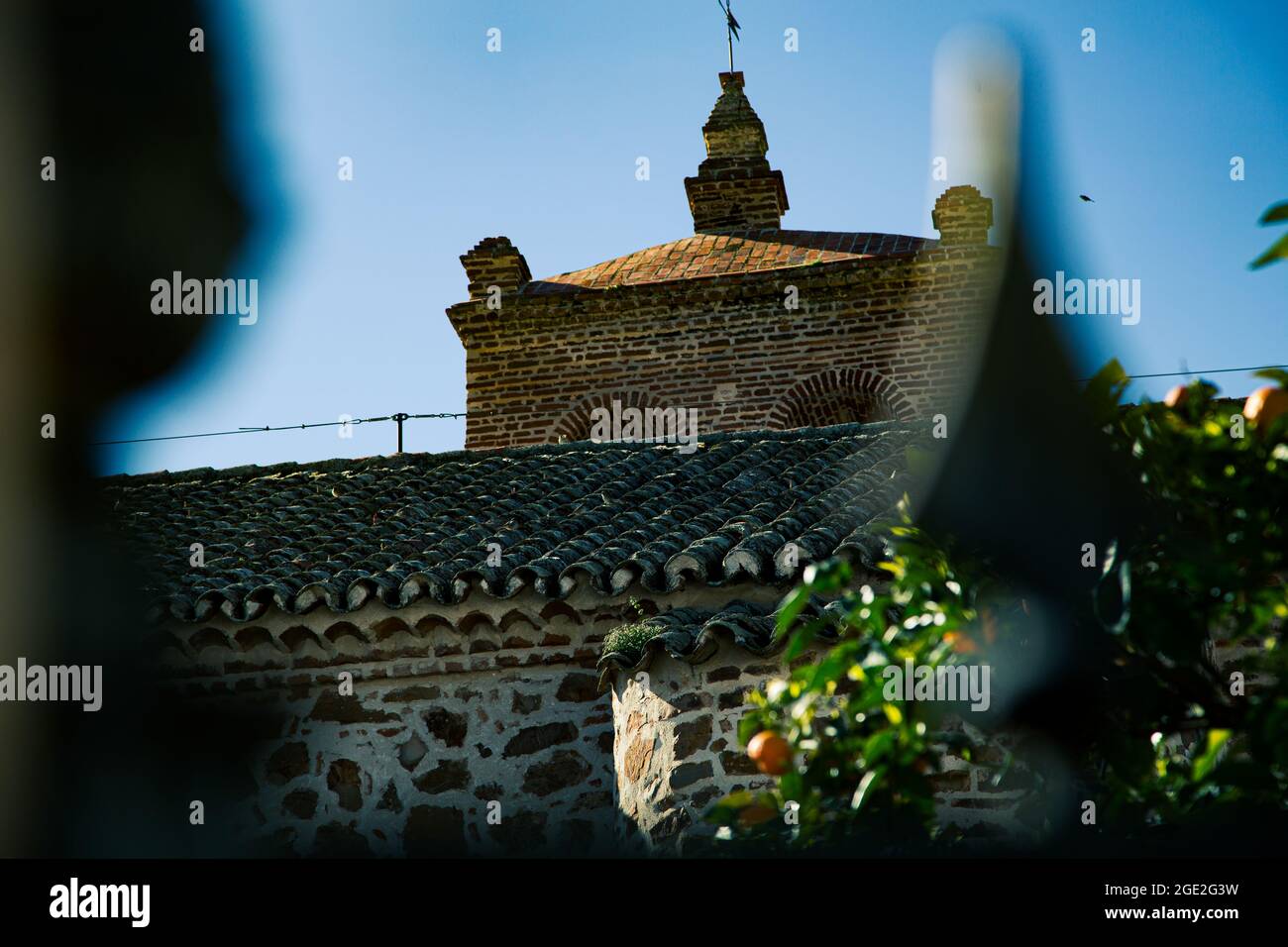 Facciata di una chiesa romanica con un grande cancello e facciate con archi che sostengono una grande torre su un lato e un cortile di alberi d'arancio sul to Foto Stock