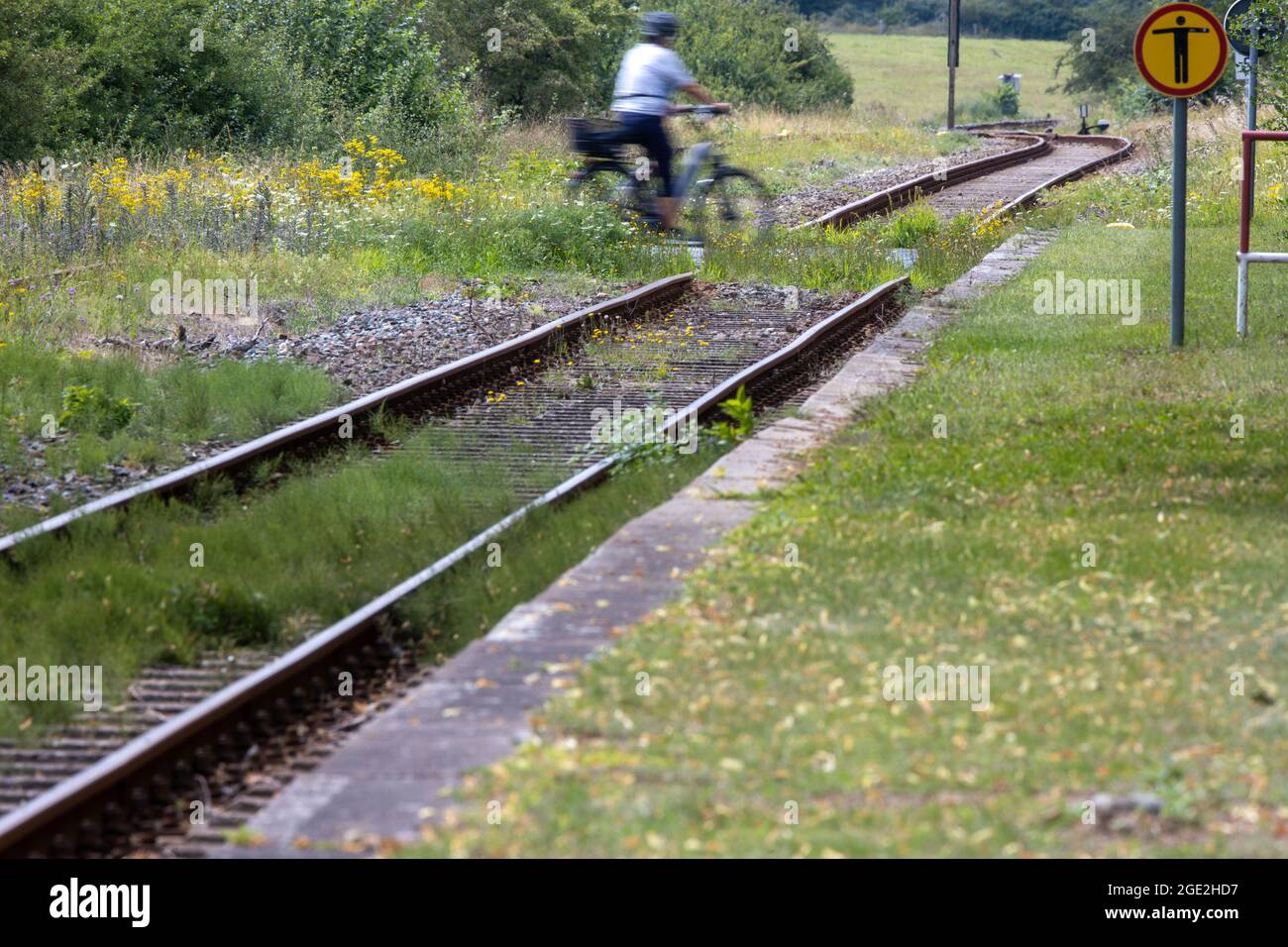 Zechlin, Germania. 10 agosto 2021. Un ciclista si sposta lungo il livello senza gesso che attraversa la stazione di Nossentin nel distretto dei laghi di Meclemburgo. Le diramazioni ferroviarie del Meclemburgo-Pomerania occidentale sono utilizzate quasi esclusivamente da ferrovie private. I gruppi ambientalisti chiedono da anni più traffico ferroviario sulle linee per convincere un maggior numero di pendolari e turisti dell'attrattiva della ferrovia. Credit: Jens Büttner/dpa-Zentralbild/ZB/dpa/Alamy Live News Foto Stock