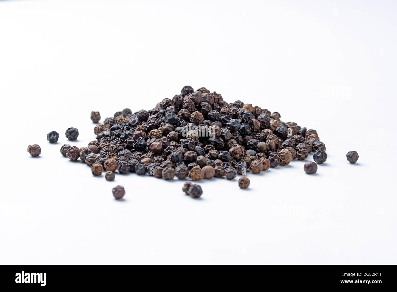 Pepe nero, Piper nigrum, Satara, Maharashtra, India Foto Stock