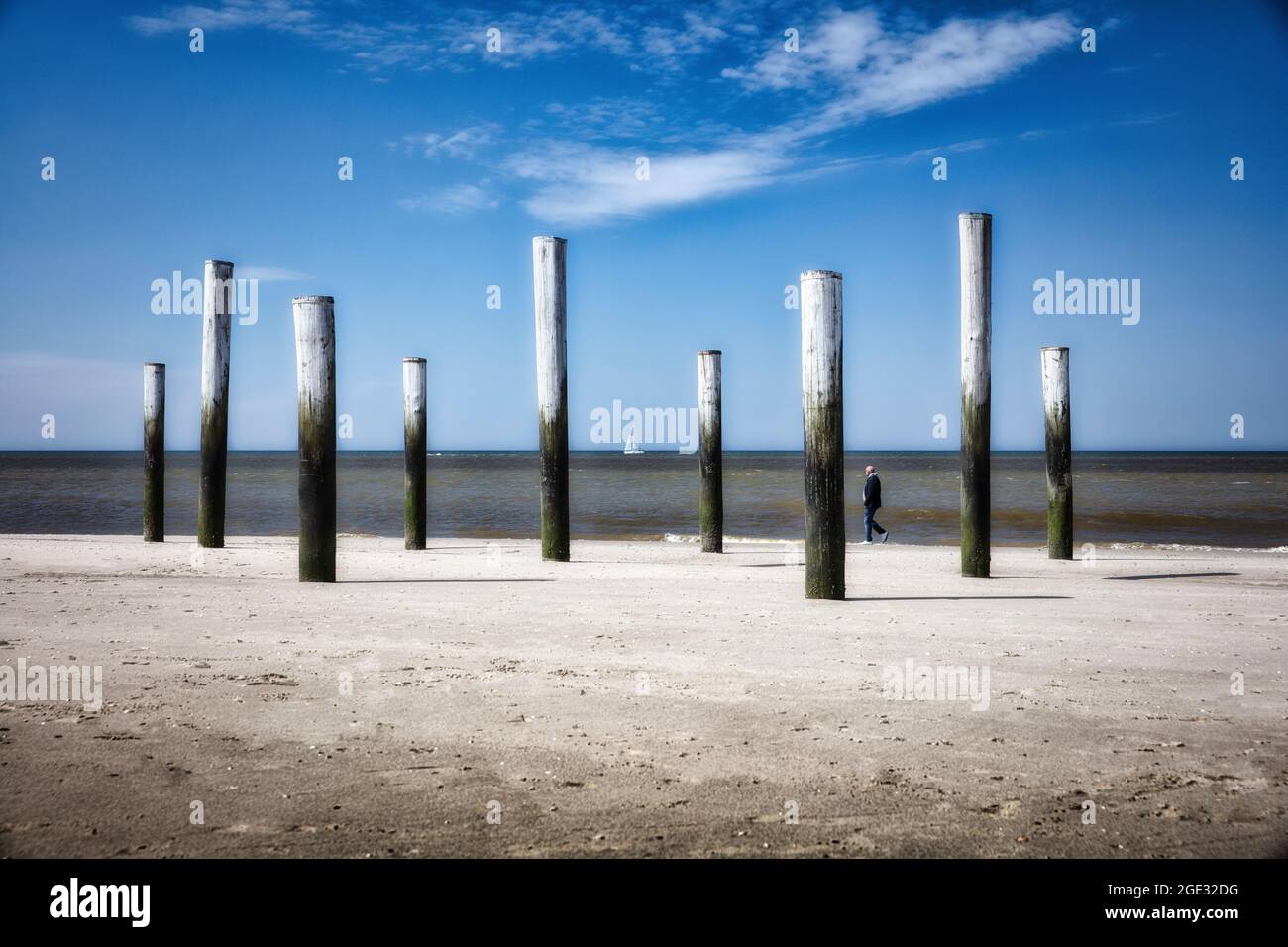 Paesi Bassi, Petten, Spiaggia. Mare del Nord. Palendorp. Opere d'arte con pali di legno. Uomo, barca a vela. Foto Stock