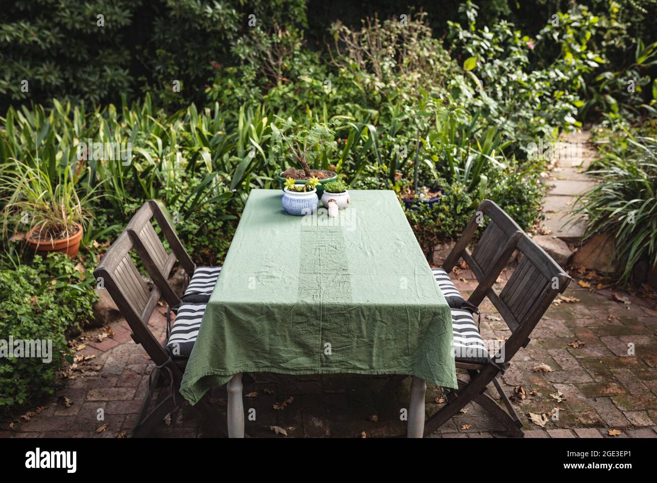 Tavolo, sedie e piante verdi in giardino soleggiato Foto Stock