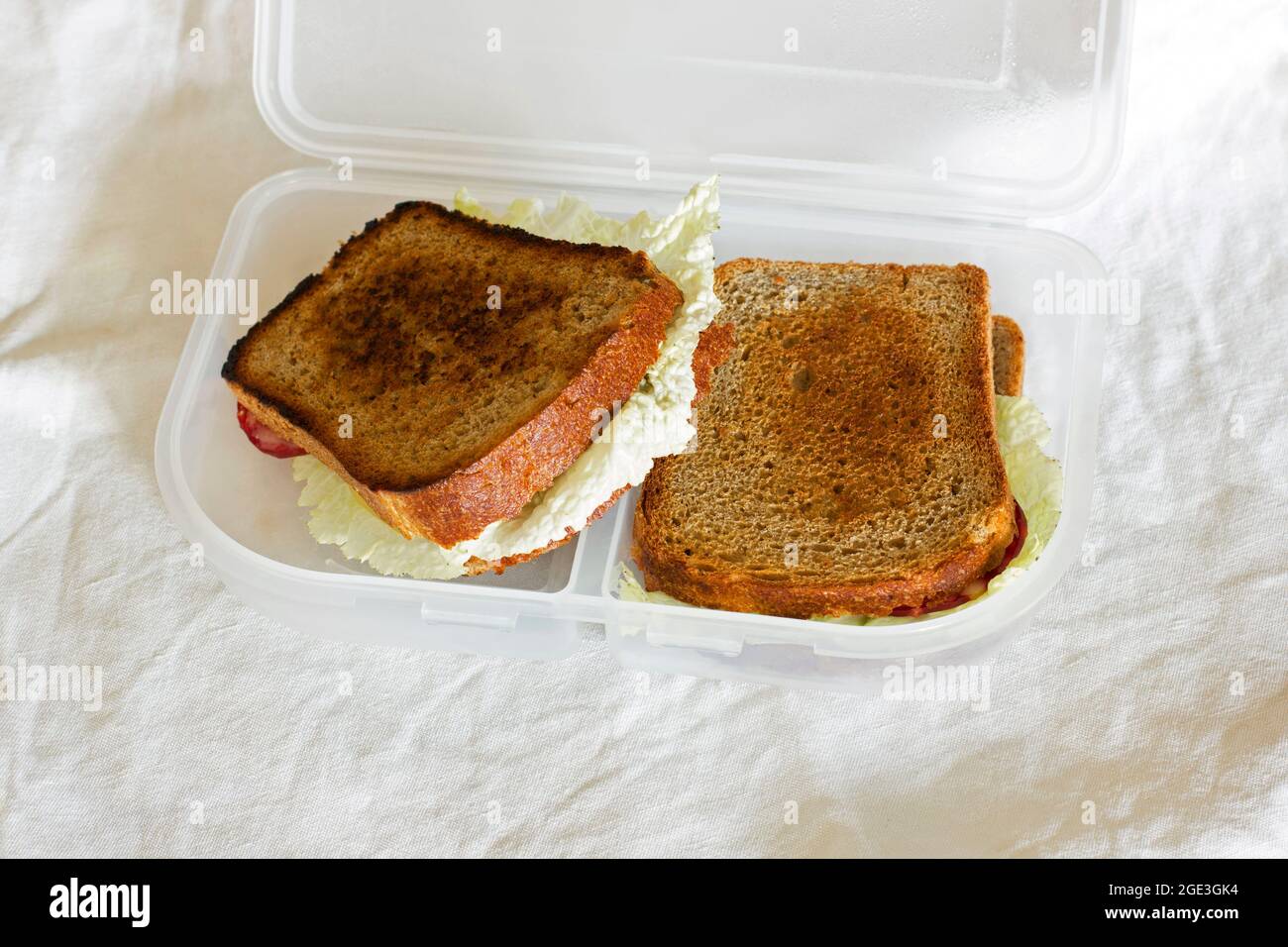 Panini in una scatola sandwich. Cibo fatto in casa Foto Stock