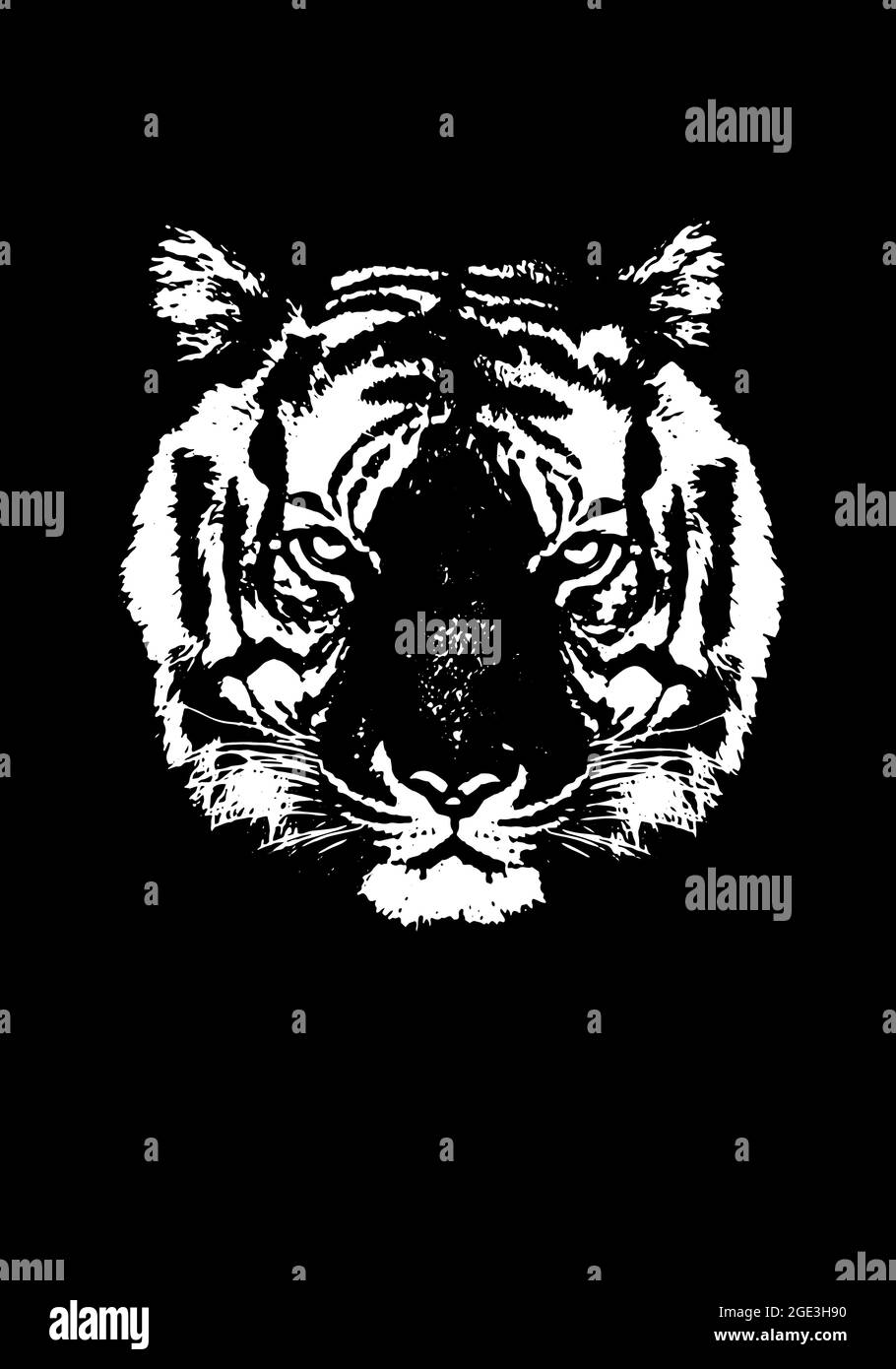 Tiger silhouete , animale isolato , potere cacciatore di fauna selvatica Foto Stock