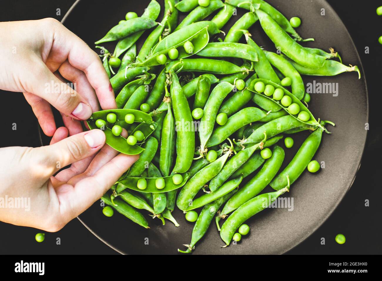 Piselli su sfondo nero. Piselli in un piatto. Frutta estiva. Verde e nero. Piselli in mani Foto Stock