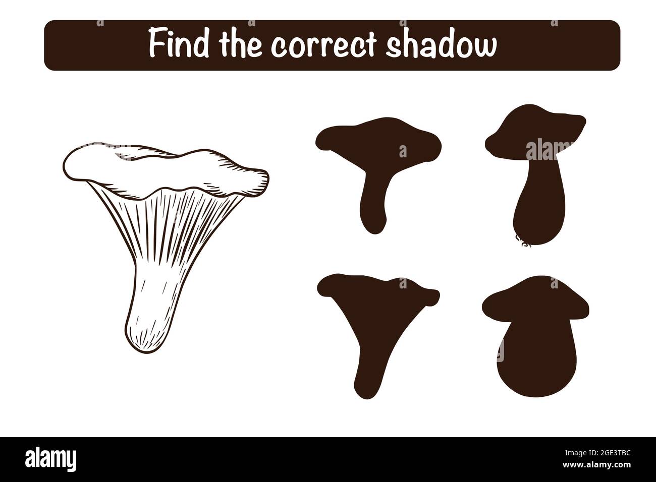 Trova il gioco educativo corretto Chanterelle Silhouette per i bambini. Attività di abbinamento ombra per bambini con funghi commestibili. Puzzle prescolare. Foglio di lavoro didattico Illustrazione Vettoriale