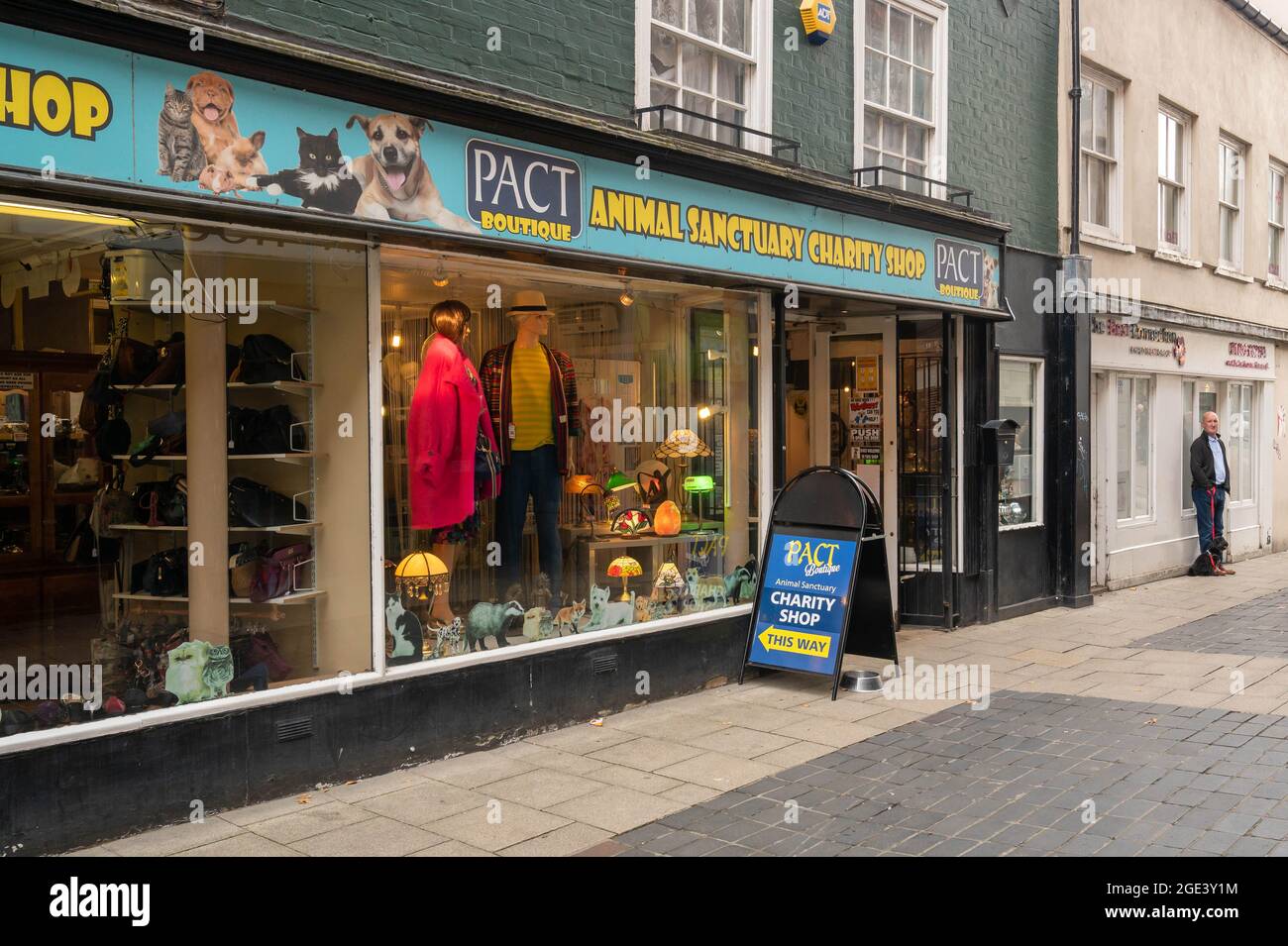 Pact boutique, Animal santuario negozio di beneficenza in dove Street Norwich Foto Stock