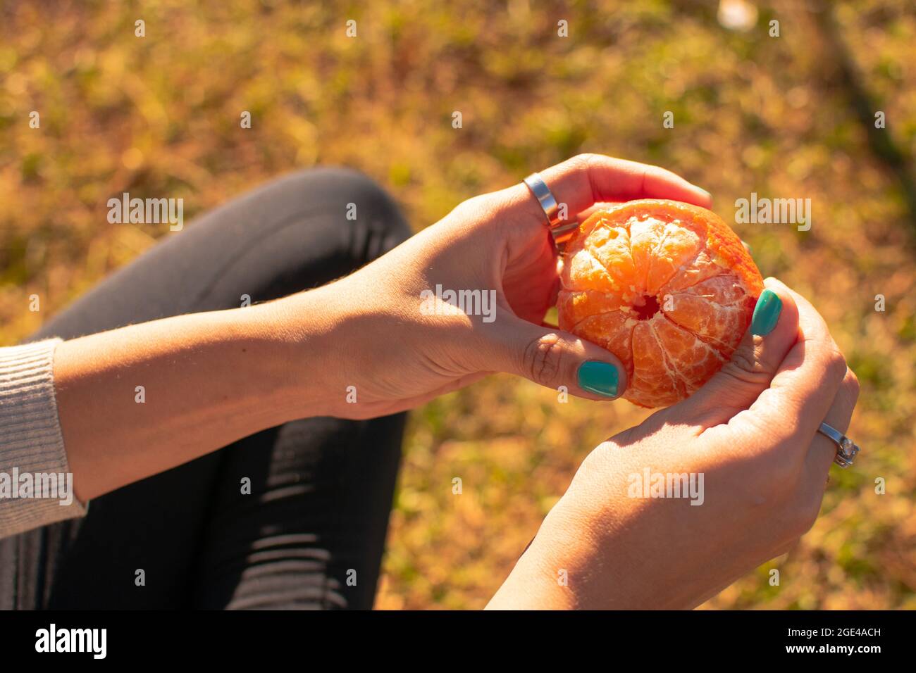 Mani femminili che pelano mandarino Foto Stock