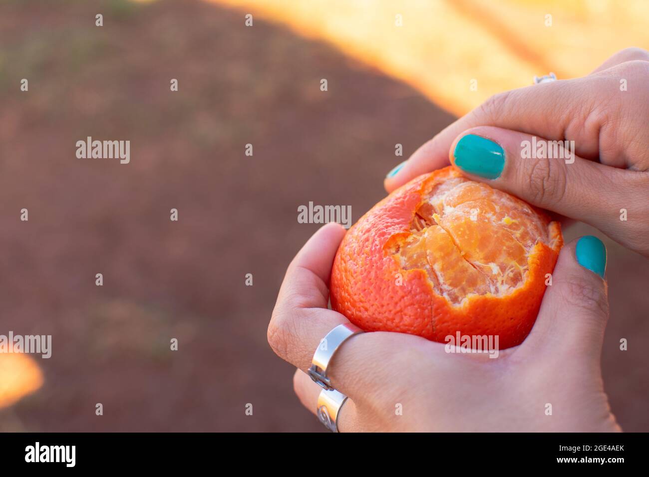 Mani femminili che pelano mandarino Foto Stock