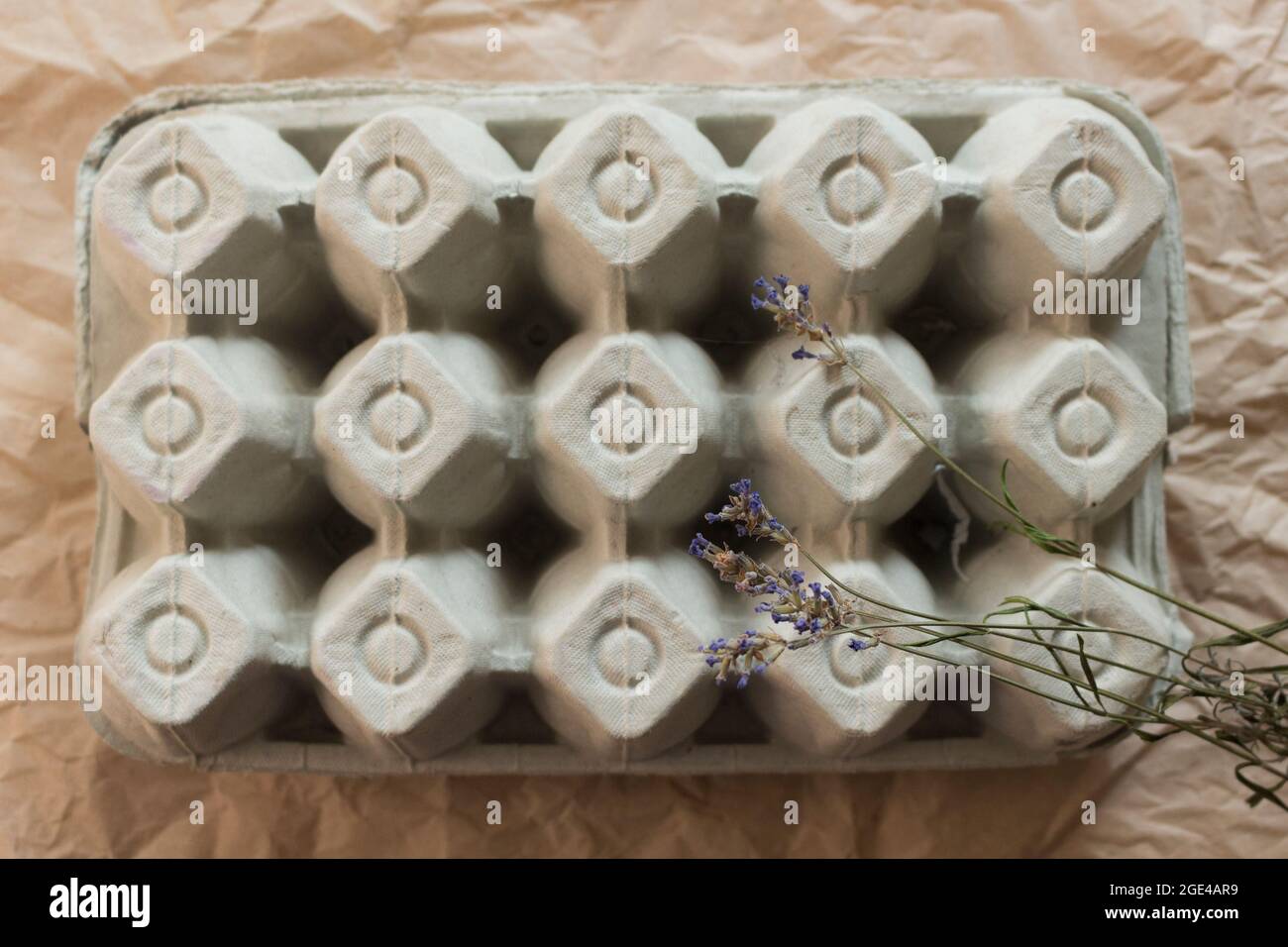 Scatola chiusa isolata di cartone da uovo con sprigs di lavanda essiccati su fondo di carta kraft sbriciolato. Vista dall'alto della confezione di cartone per uova organiche o del contenitore per uova. Foto Stock