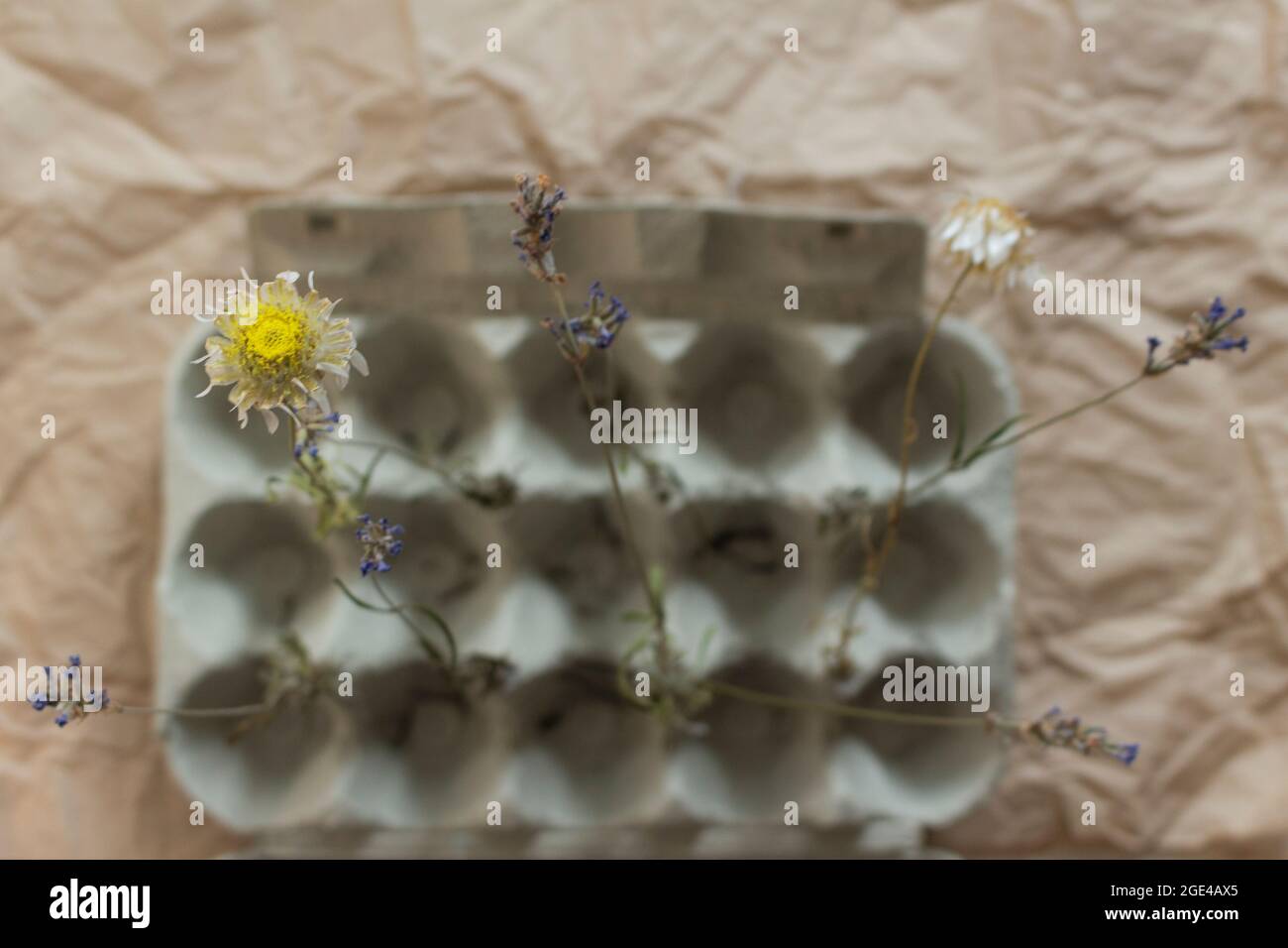 Vassoio aperto isolato con fiori secchi su carta kraft. Concetto creativo di stile di vita ecologico con materiale riciclato. Vista dall'alto. Foto Stock