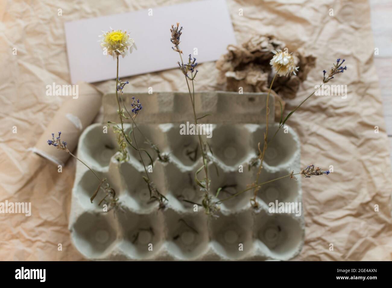Vassoio aperto isolato con fiori secchi su carta kraft. Concetto creativo di stile di vita ecologico con materiale riciclato. Vista dall'alto. Foto Stock