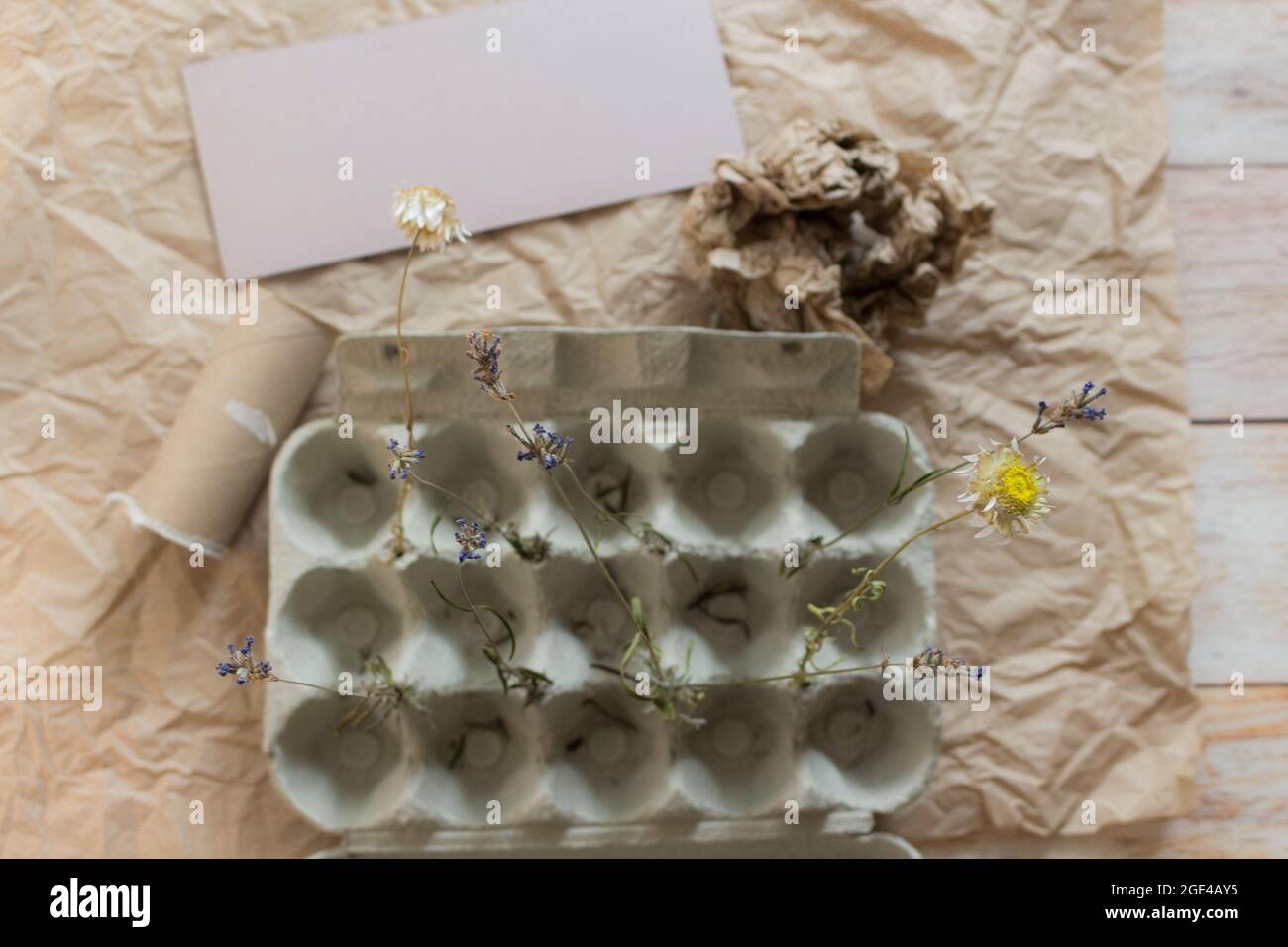 Vassoio aperto isolato con fiori secchi su carta kraft. Concetto creativo di stile di vita ecologico con materiale riciclato. Vista dall'alto. Foto Stock