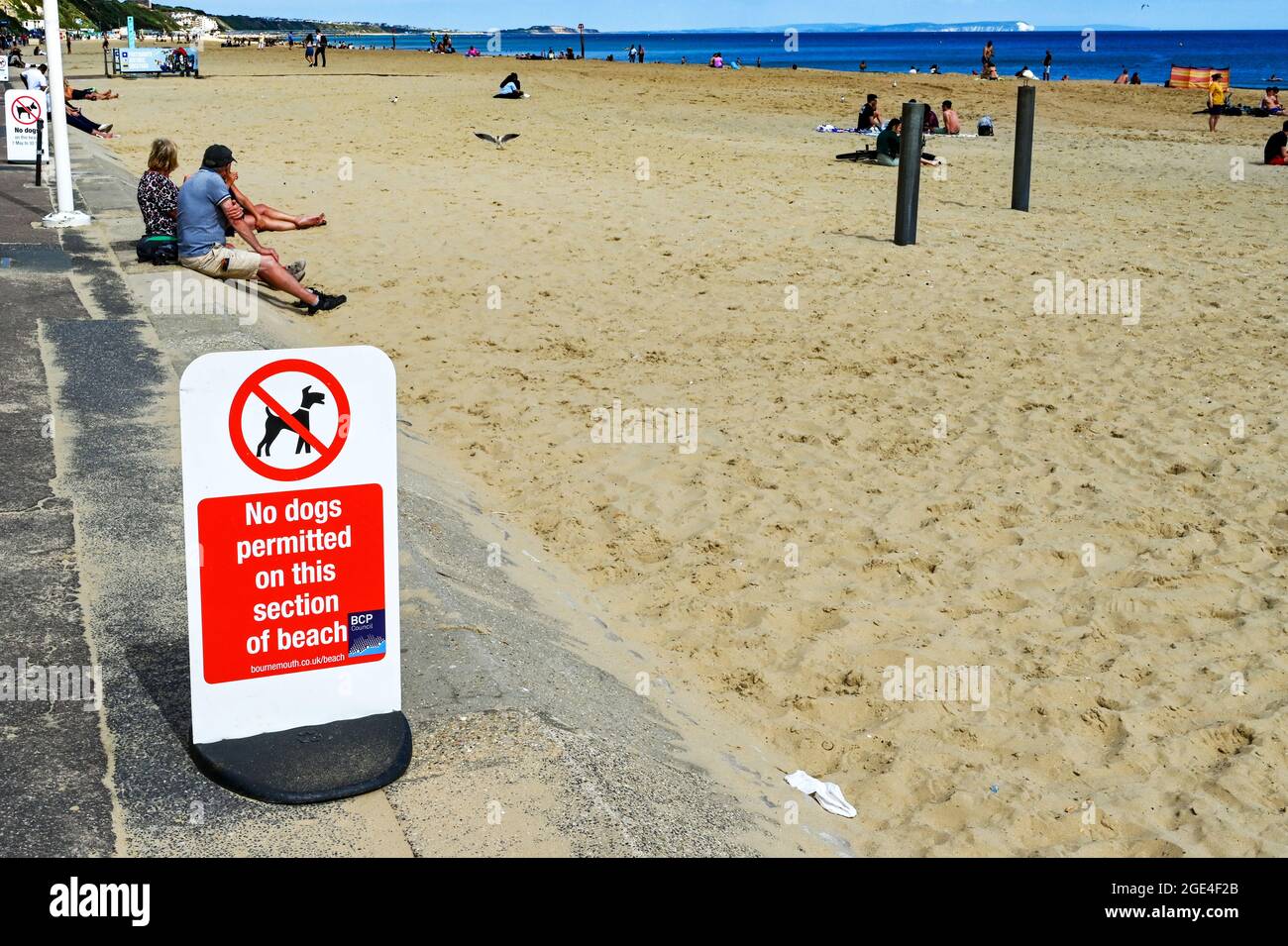 Bournemouth, Inghilterra - Giugno 2021: Firma sulla passeggiata informando i visitatori che non sono ammessi cani sulla spiaggia. Foto Stock