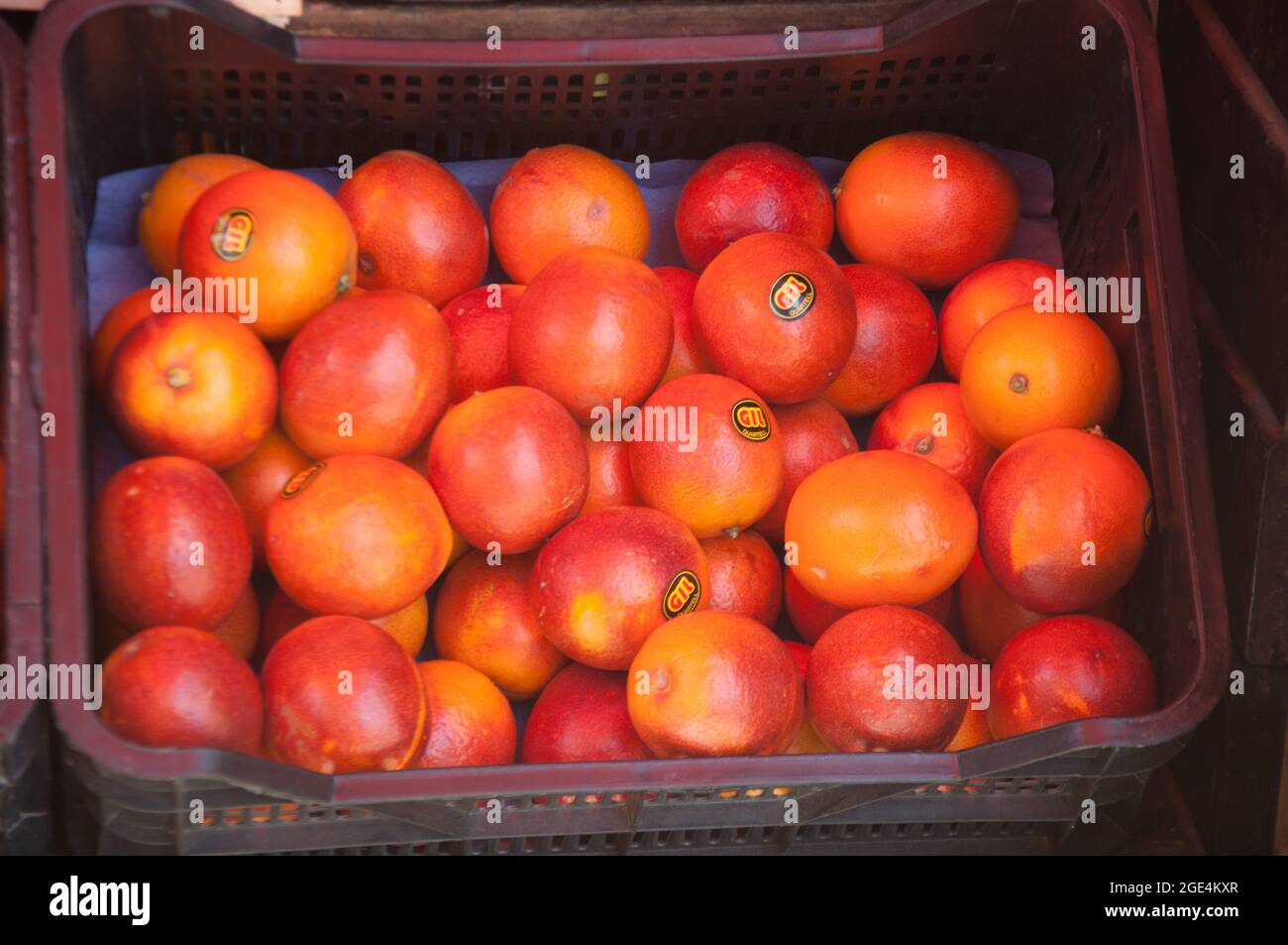 Blood Oranges, Valencia, Spagna, Europa Foto Stock