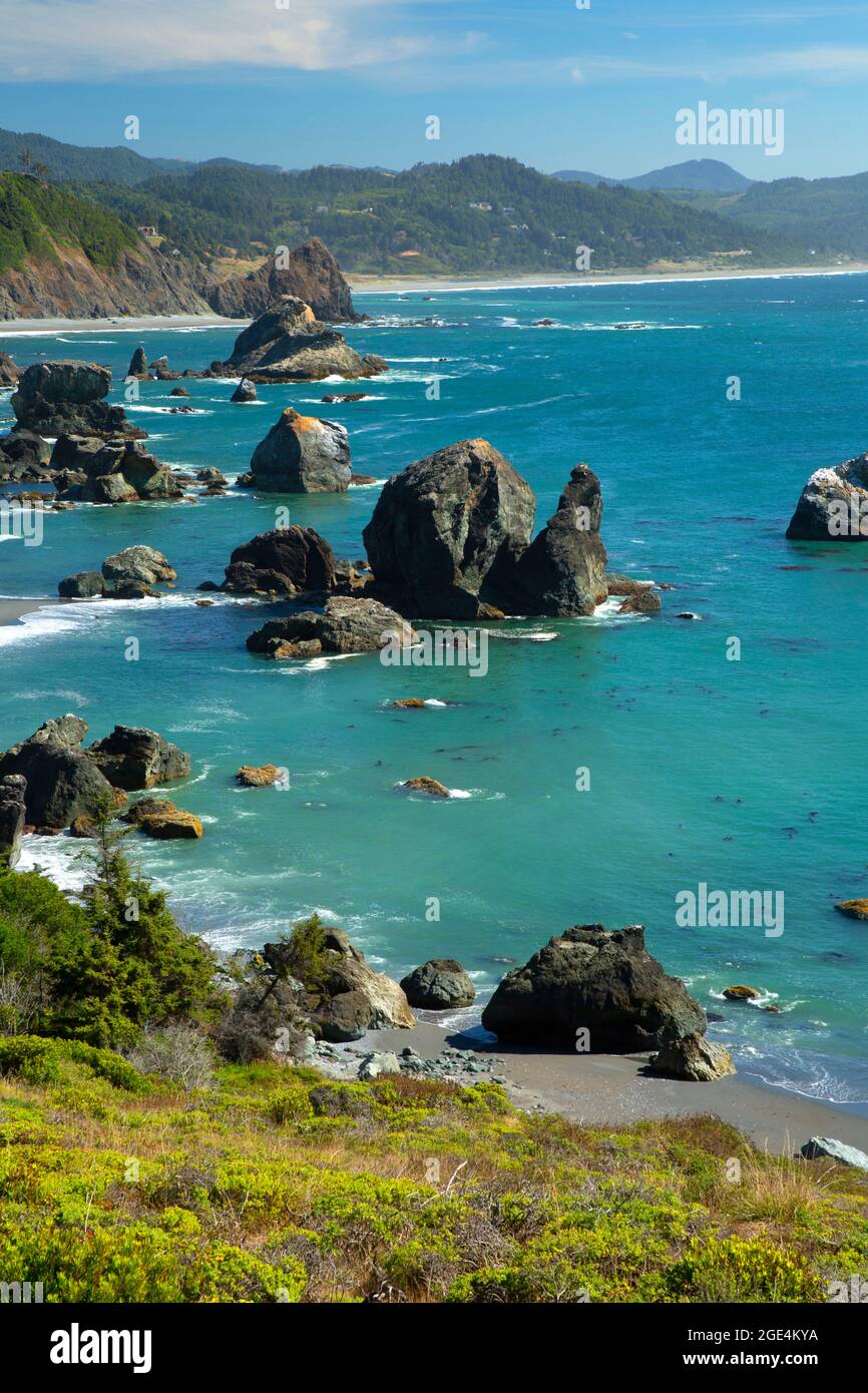 Vista sulla costa dall'Oregon Coast Trail, dal Sisters Rock state Park, Oregon Foto Stock