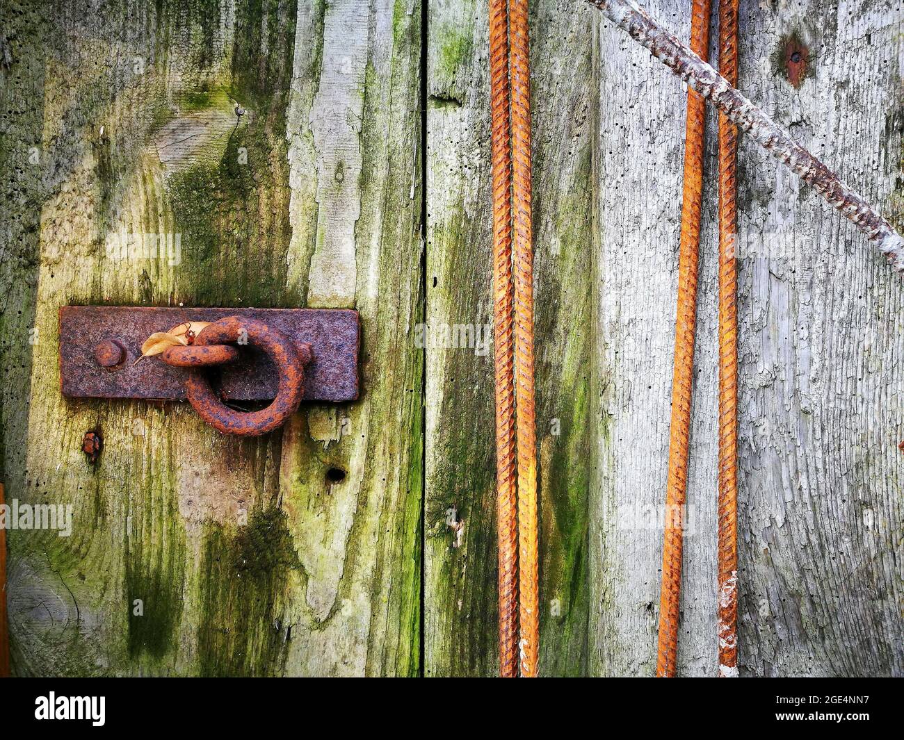 Primo piano di una porta verde in legno con maniglia in metallo Foto Stock