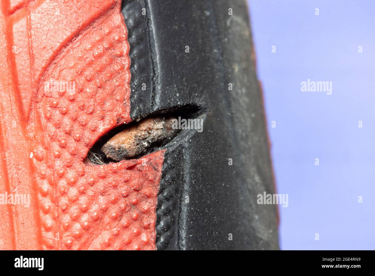 Pneumatico della bicicletta strappato, vista ravvicinata. Foto Stock