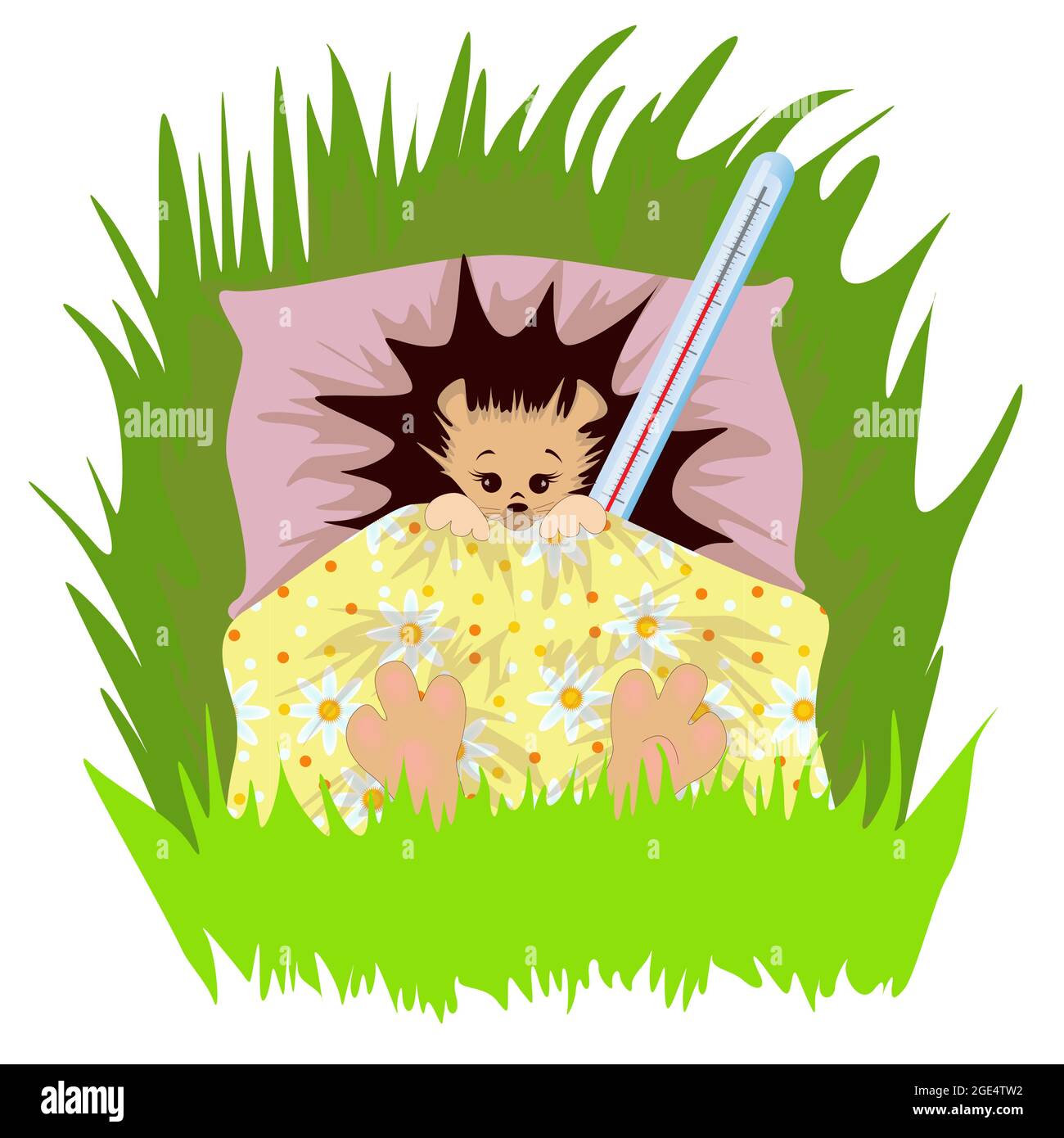 Immagine vettoriale di un riccio sotto una coperta su un cuscino. Da una serie di illustrazioni con un hedgehog Illustrazione Vettoriale