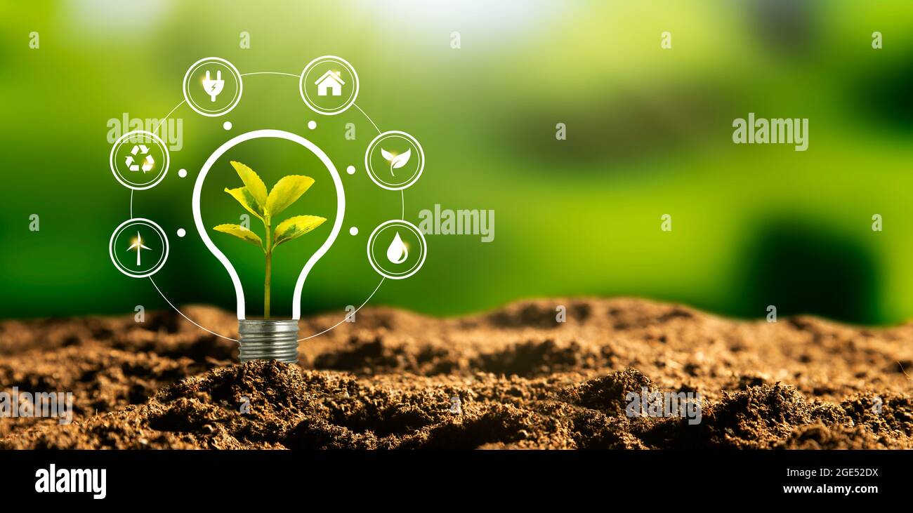 Concetto di fonti energetiche sostenibili con lampadina e impianto Foto Stock