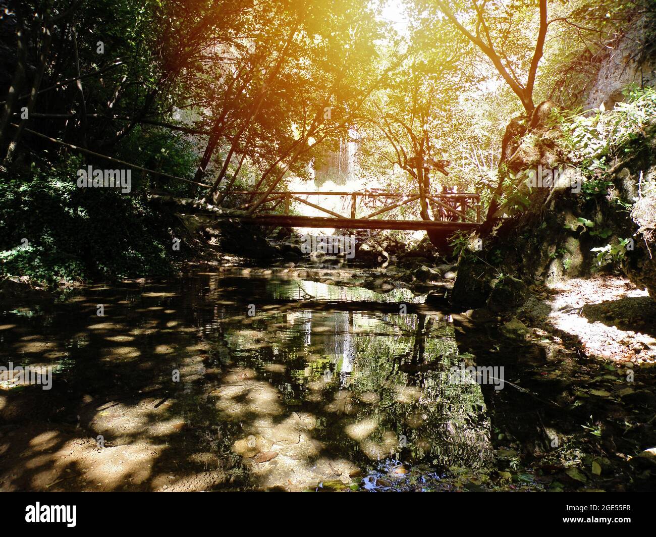 Ponte e fiume nella foresta con Sunshines Foto Stock