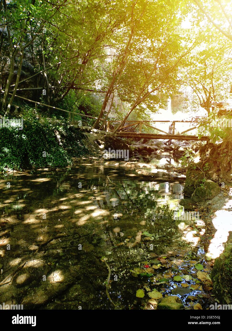 Ponte e fiume nella foresta con Sunshines Foto Stock
