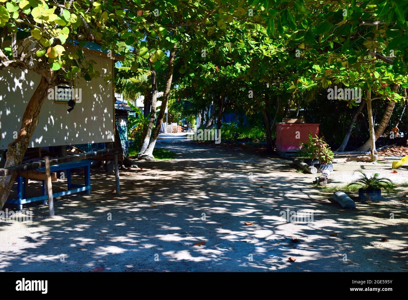 La strada sterrata, strada posteriore su Caye Caulker, Belize Foto Stock