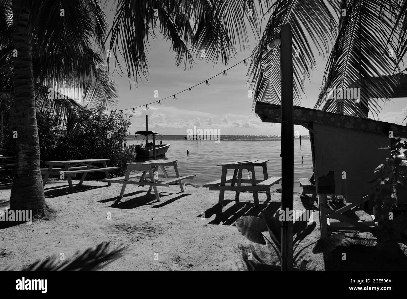 Una foto monocromatica di tavoli da picnic e luci di festa tra le palme e con l'acqua calma sullo sfondo Foto Stock