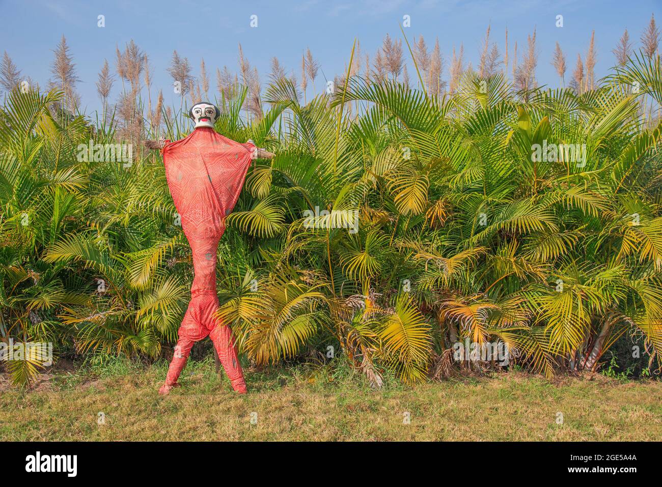 Uomo di paglia colorato nei campi verdi, Pune, Maharashtra, India Foto Stock