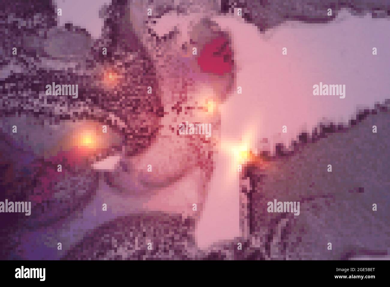 Inchiostro grigio astratto, rosa e oro fluido arte con motivi a base di alcol e marmo Illustrazione Vettoriale