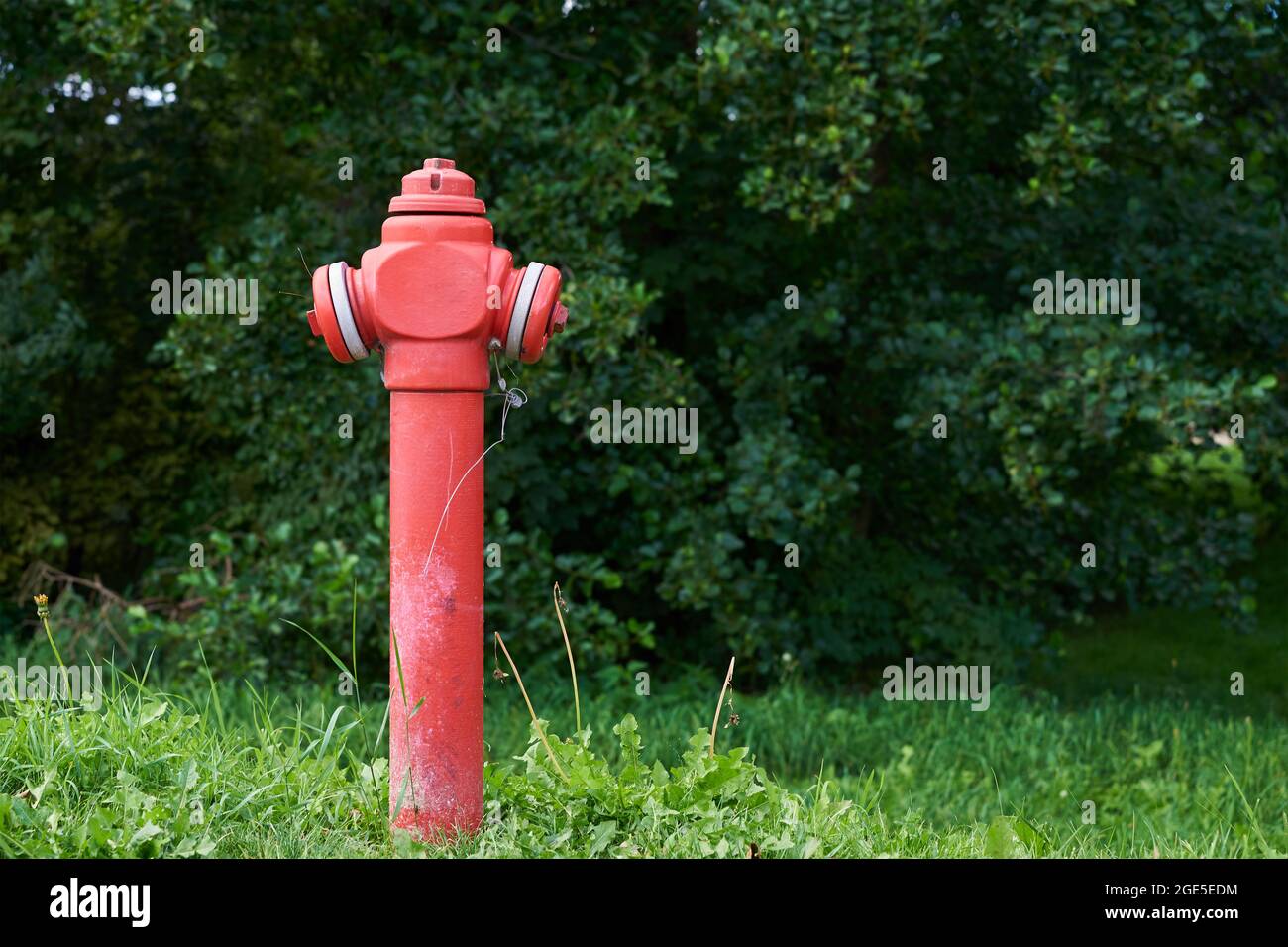 Idrante antincendio rosso nel parco cittadino, primo piano. Misure preventive contro gli incendi urbani Foto Stock