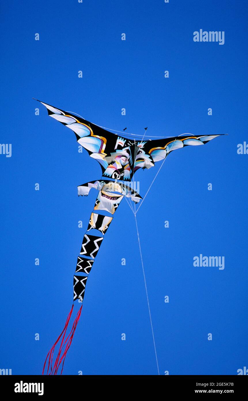 FRANCIA, KITE FESTIVAL, FLAT KITE DI STEEVE BROCKETT KITE DESIGNER DALLA GRAN BRETAGNA Foto Stock