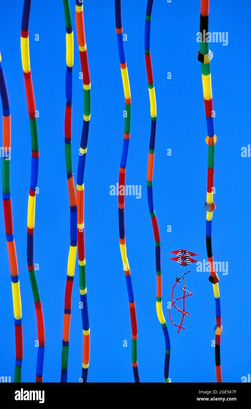 FRANCIA, FESTIVAL DEI AQUILONI, AQUILONI SENZA STRUTTURA E CELLULARE Foto Stock