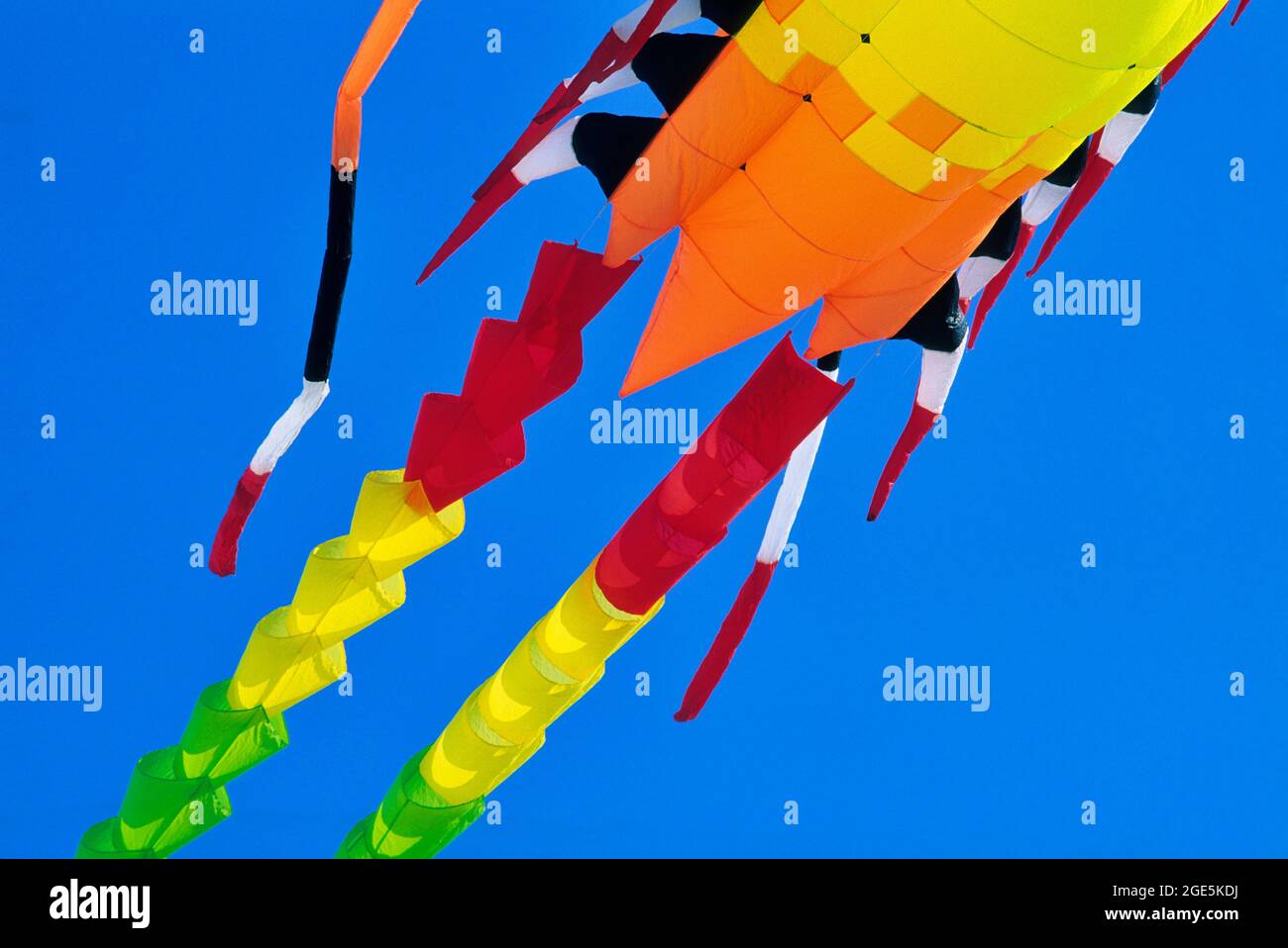 FRANCIA, PAS-DE-CALAIS (62) BERCK-SUR-MER, FESTIVAL DEL KITE, DETTAGLIO DI UN KITE DI PETER LYNN NEOZELANDESE DESIGNER KITE Foto Stock