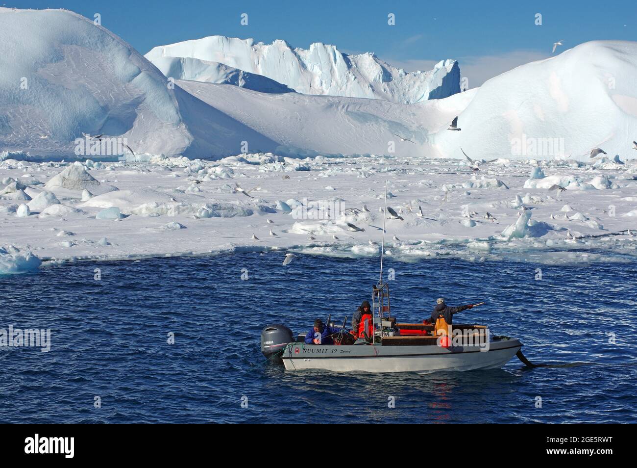 Piccola barca da pesca di fronte a enormi iceberg e ghiaccio di deriva, gabbiani, inverno, Disko Bay, Ilulissat, Groenlandia occidentale, Danimarca, Europa Foto Stock