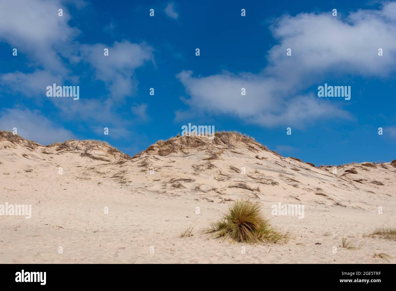 Dune di sabbia sulla baia di Biscay, Carcans Plage, Gironde, Nouvelle-Aquitaine regione, Francia Foto Stock