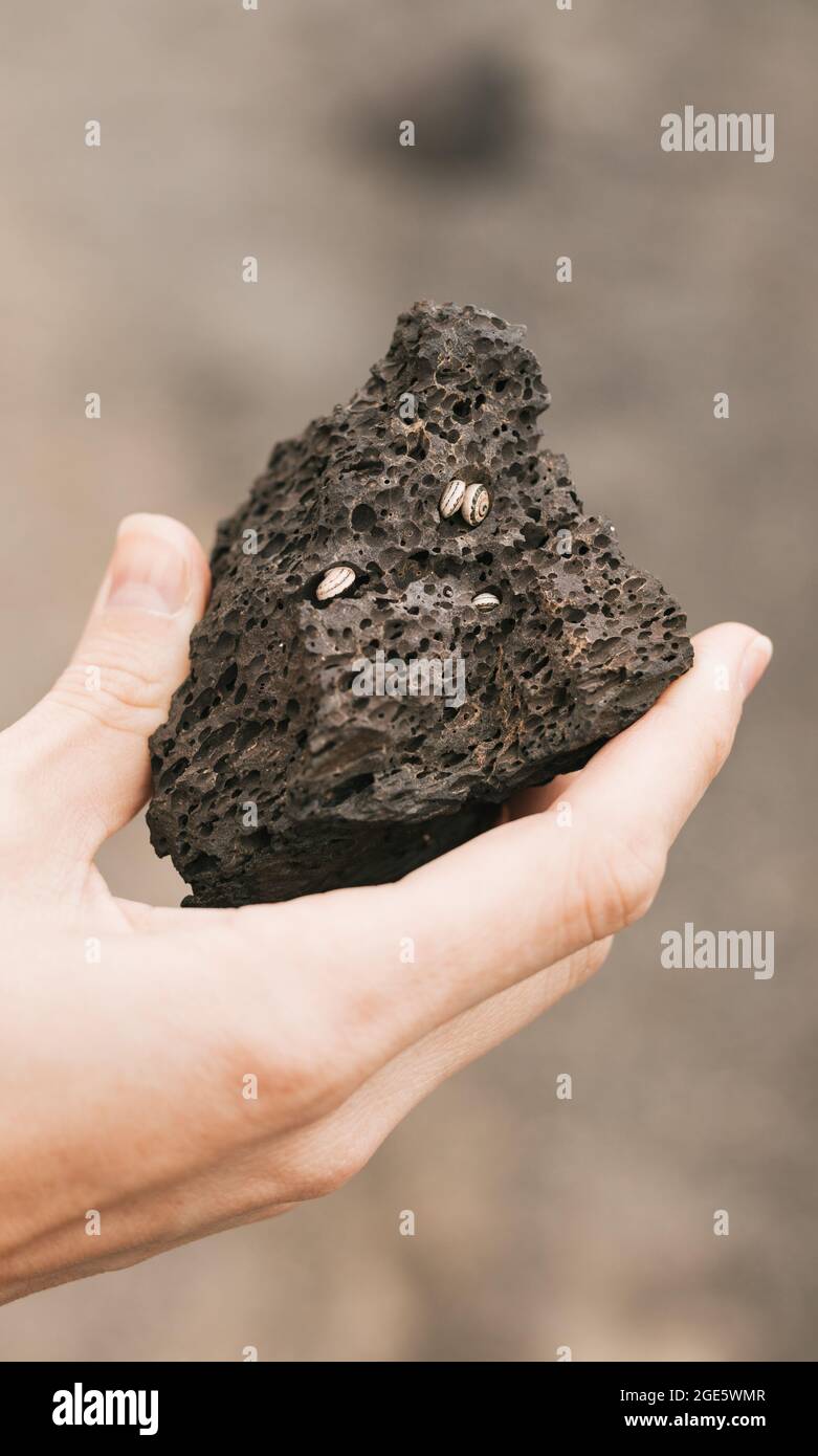 Una mano di una giovane donna che tiene una pietra vulcanica Foto Stock