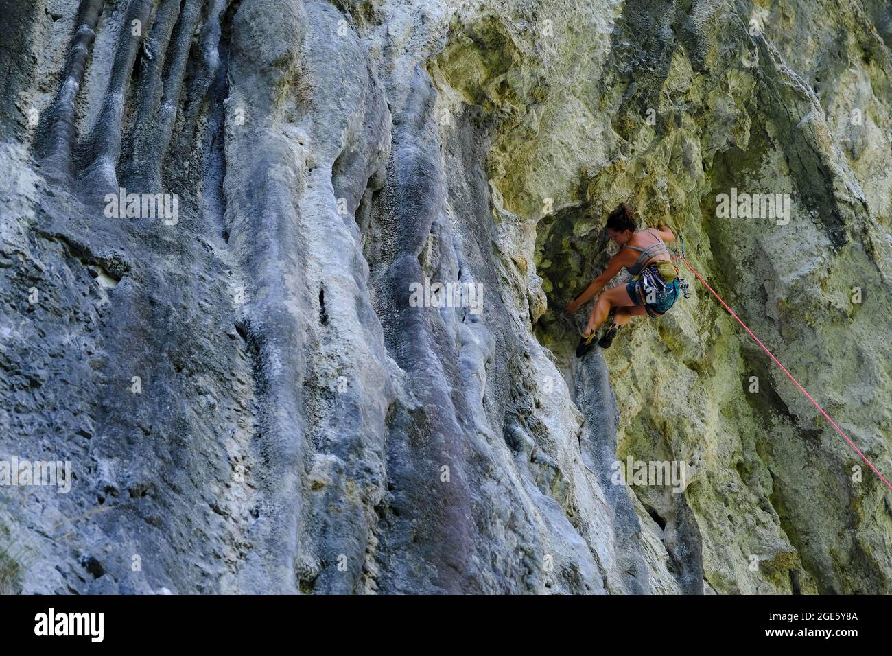 Arrampicata su una parete di roccia, scalatore a muro, arrampicata sportiva, kanjon Buzetski, arrampicata, Istria, Croazia Foto Stock