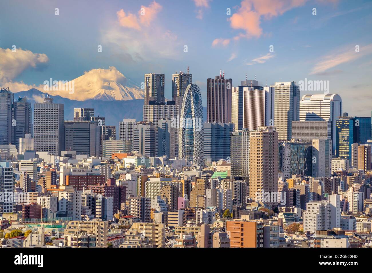 Vista dall'alto dello skyline di Tokyo (area di Shinjuku) e del Monte Fuji con splendidi tramonti in Giappone. Foto Stock