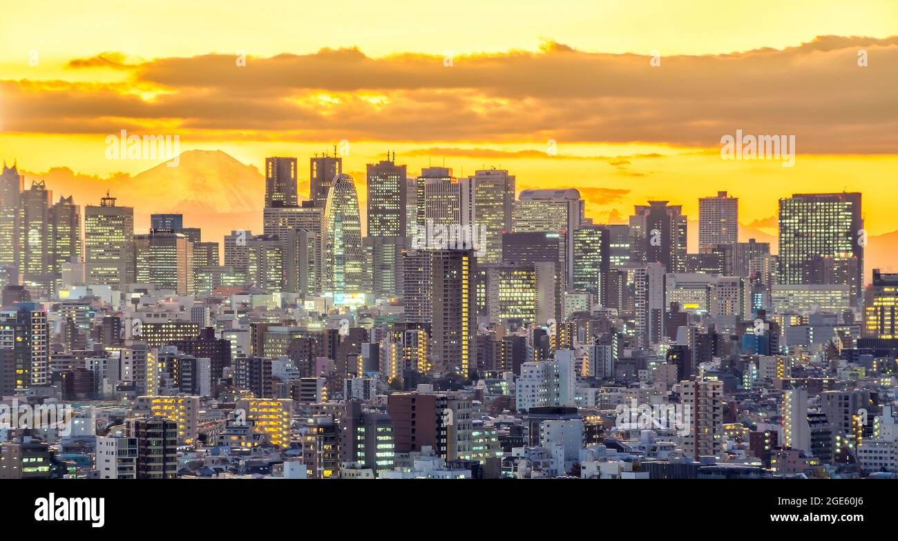 Vista dall'alto dello skyline di Tokyo (area di Shinjuku) e del Monte Fuji con splendidi tramonti in Giappone. Foto Stock