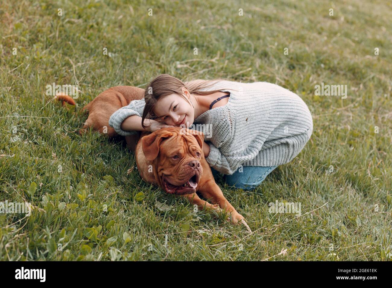 Dogue de Bordeaux o francese Mastiff con giovane donna al prato all'aperto parco. Foto Stock