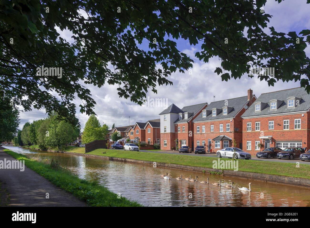 Il Waters Way ospita la sezione Bridgewater Way del canale Bridgewater a Worsley con una famiglia di cigni che scivolano. Foto Stock