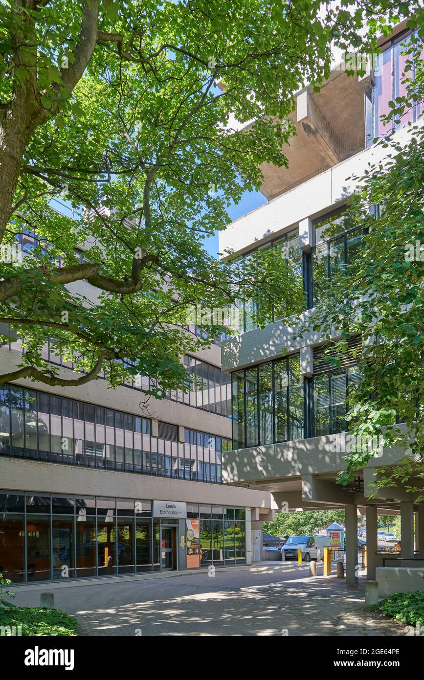 Architettura brutalista edifici in cemento al campus della Leeds University, West Yorkshire, Inghilterra settentrionale, Regno Unito Foto Stock