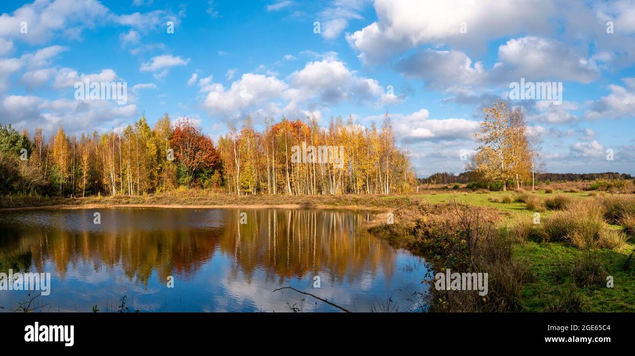 Panorama del lago Meeuwenveen nella riserva naturale Takkenhoogte, Zuidwolde, Drenthe, Paesi Bassi Foto Stock