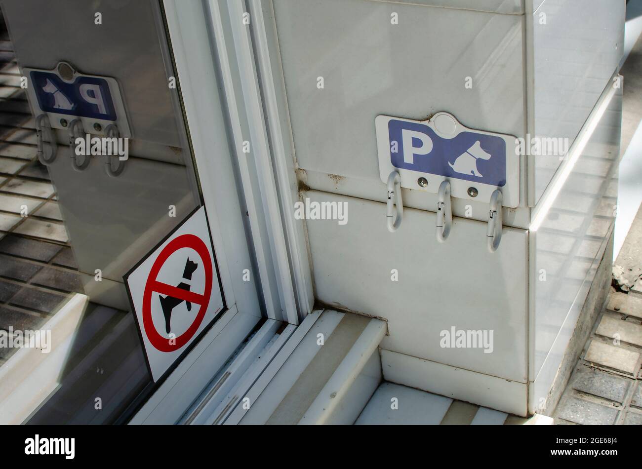Cartello di parcheggio per cani. I cani non sono ammessi all'esterno di un negozio Foto Stock
