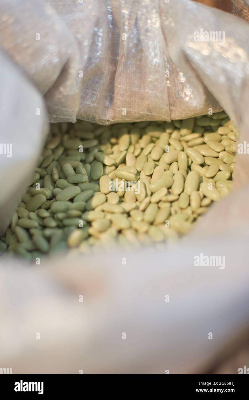 Semi di grano per la vendita alla rinfusa Foto Stock