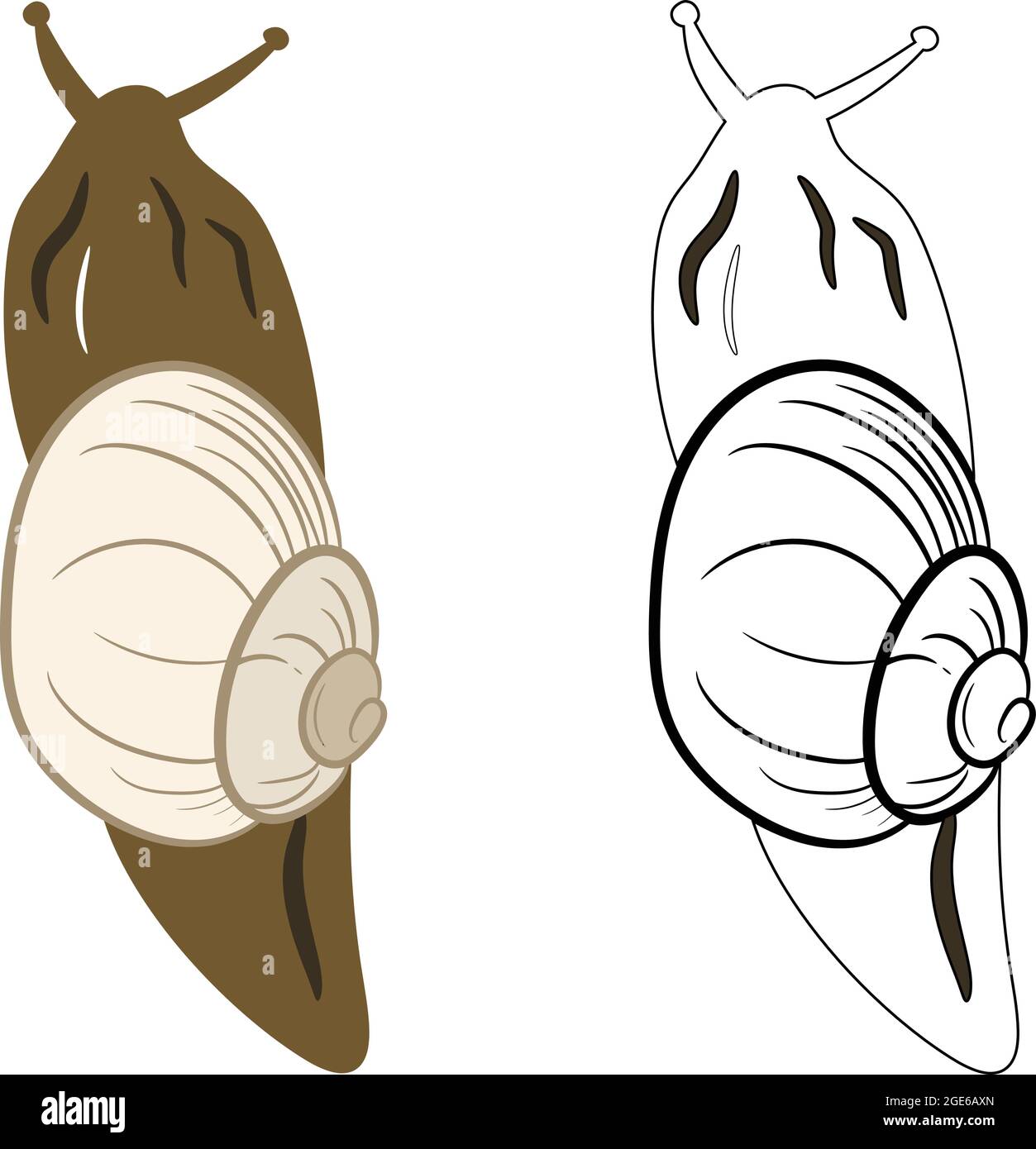 Snail Insect 2d Illustration Clipart. Vettore gastropod 2d shelled. Illustrazione Vettoriale