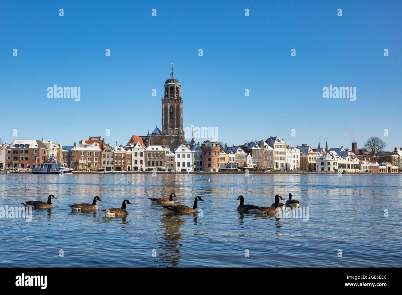 Paesi Bassi, Deventer. Skyline. Fiume IJssel. Livello dell'acqua elevato. Oche di Barnacle (leucopsis Branta). Inverno. Foto Stock