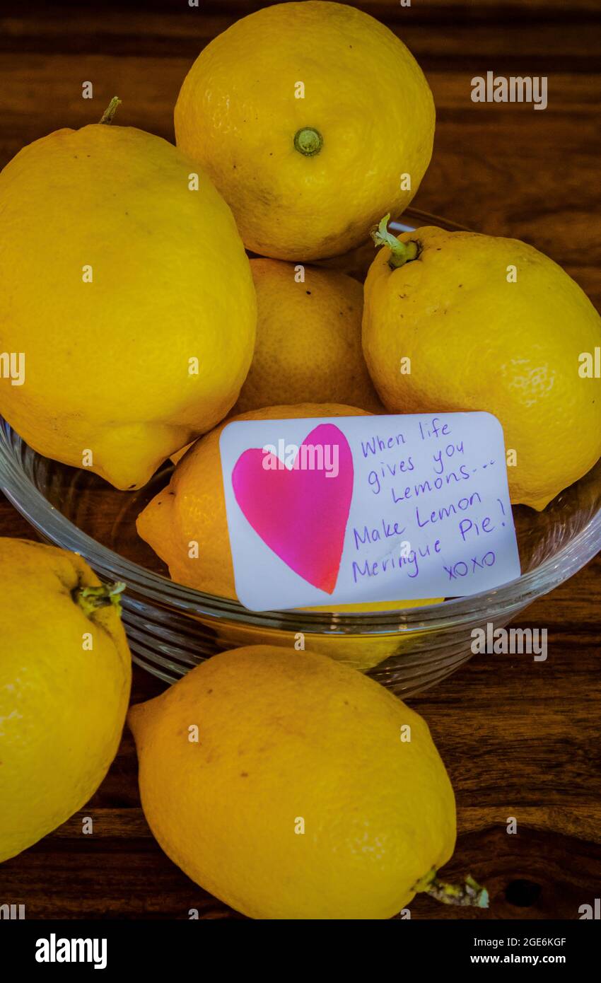 Limoni gialli in una ciotola di vetro con nota, quando la vita vi dà limoni... fate la torta di meringa di limone! Foto Stock