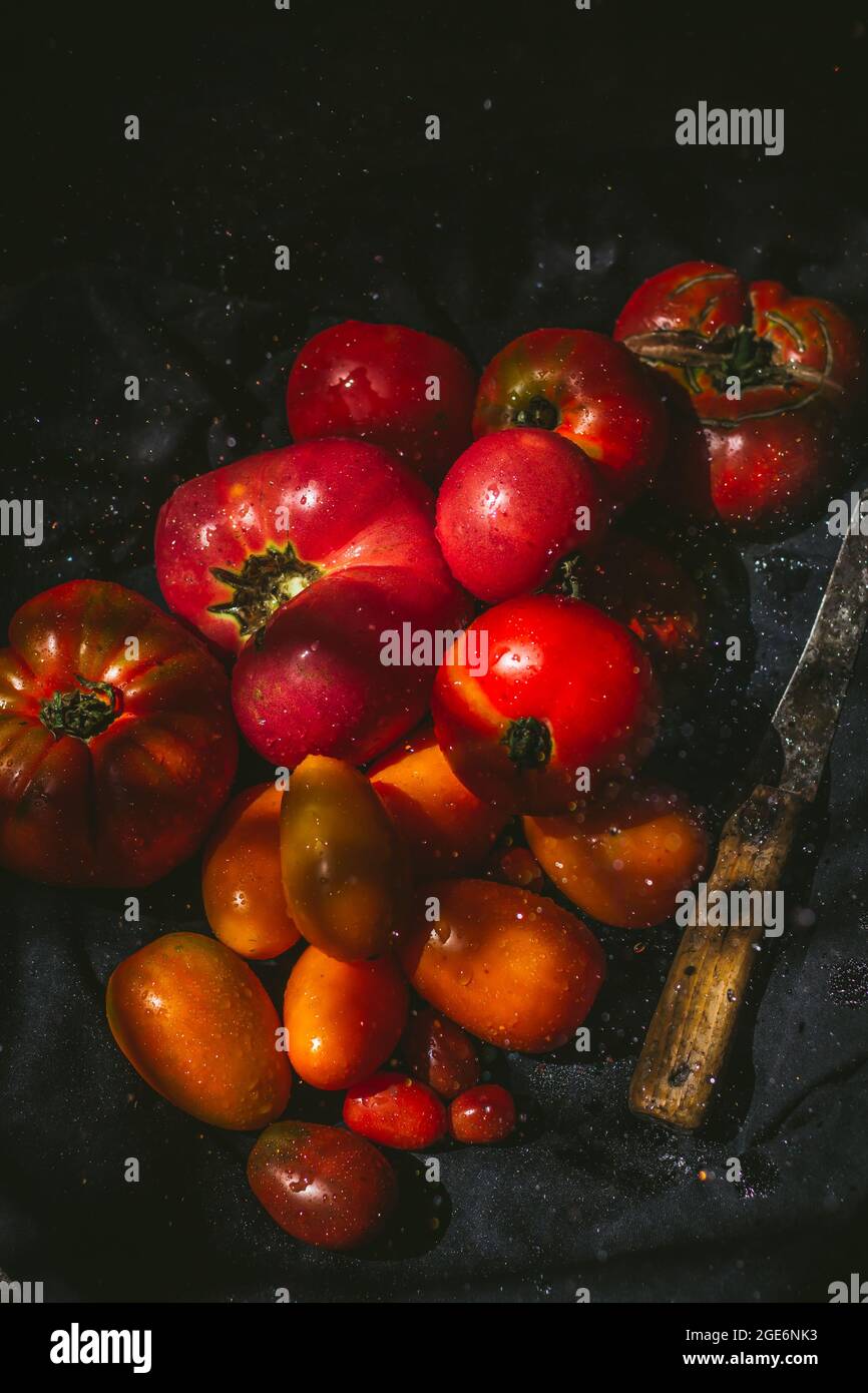 Raccolta di pomodori colorati. Solo una parte dei pomodori a fuoco. Foto Stock