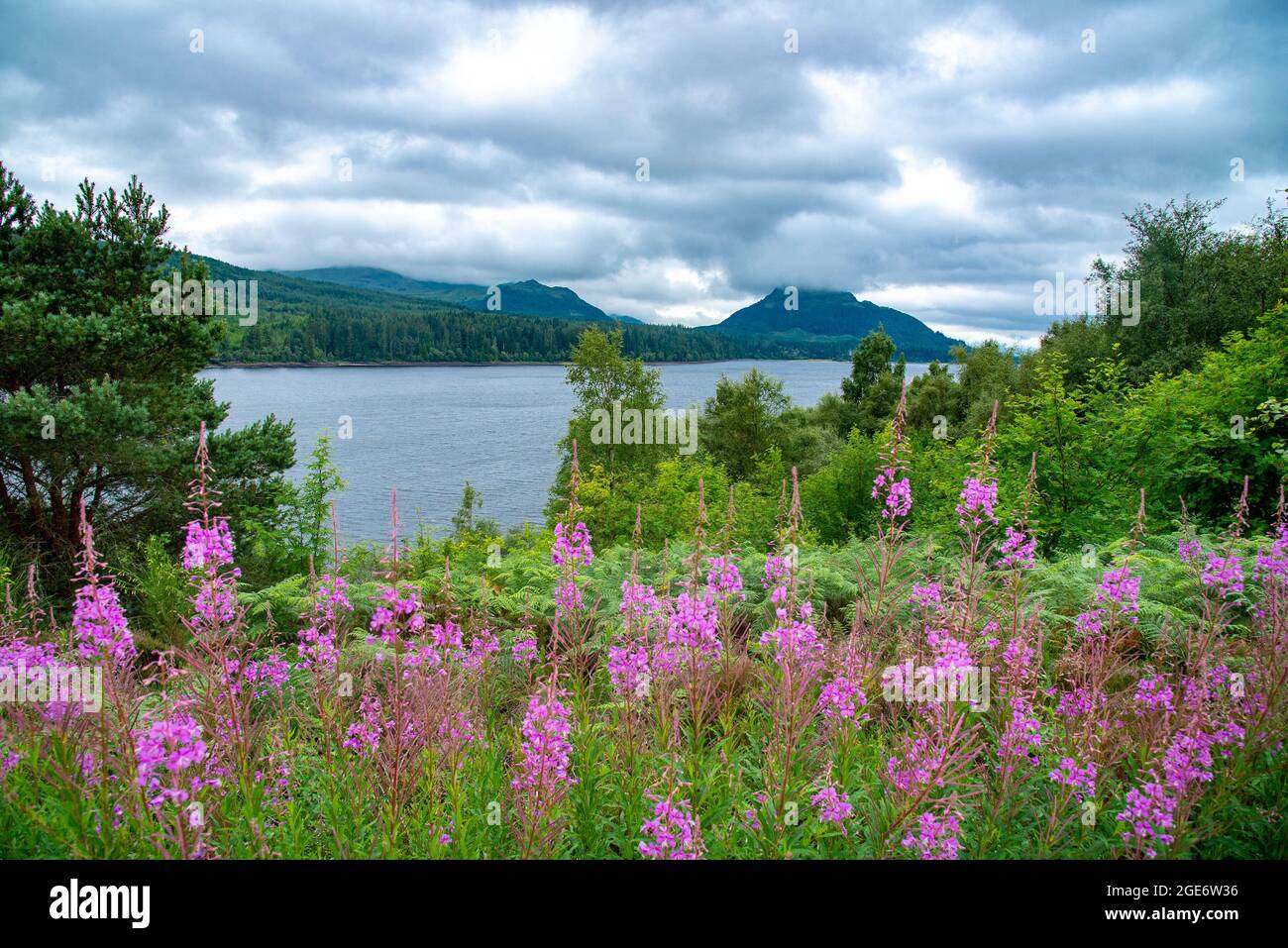 Vista di Loch Laggan, vicino a Dalwhinnie nelle Highlands scozzesi, Regno Unito Foto Stock